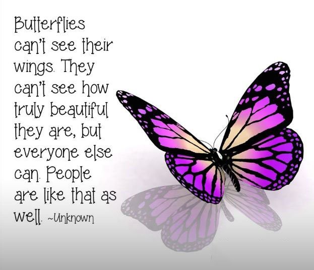 butterflies-cant-see-their-wings-life-quotes-sayings-pictures.jpg